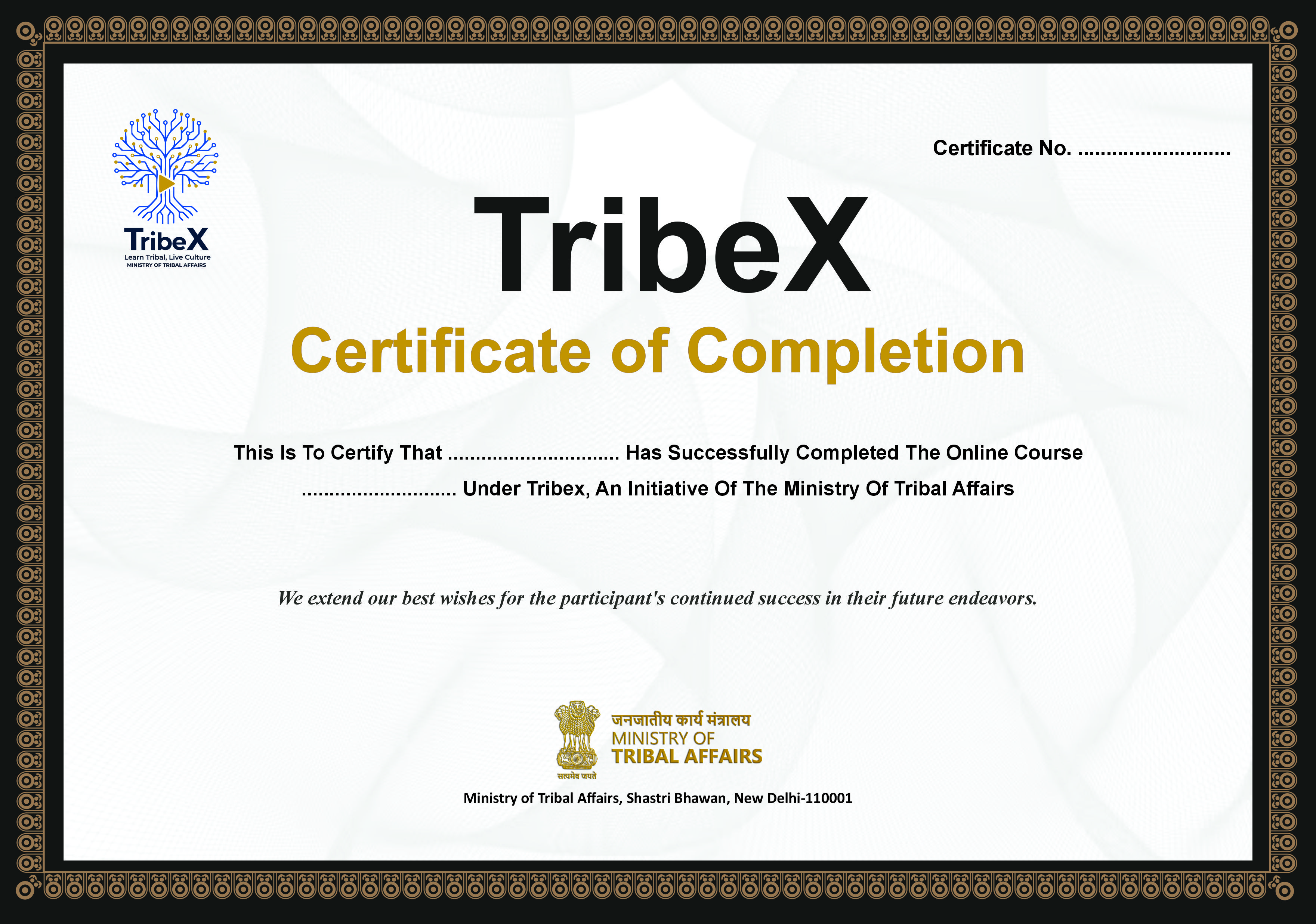 Demo Certificate